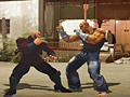 խաղ The Perfect Fighter