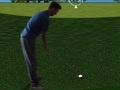 խաղ Flash Golf 3D