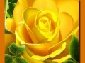 խաղ Yellow Roses