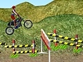 խաղ Motorcycle Rally