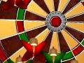 խաղ Dart Champion