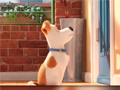 խաղ Hidden Letters in The Secret Life of Pets