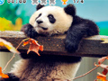 խաղ Animal Habitats: Find Items