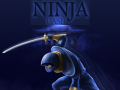 խաղ Ninja Dash