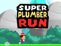 խաղ Super Plumber Run