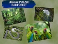 խաղ Jigsaw Puzzle Rain Forest 