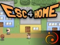 խաղ Esc 4 Home