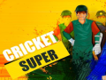 խաղ Super Cricket      