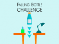 խաղ Falling Bottle Challenge