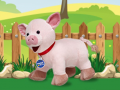 խաղ Catch The Pig