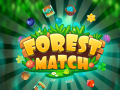 խաղ Forest Match