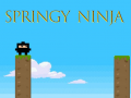 խաղ Springy Ninja
