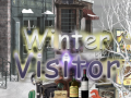 խաղ Winter Visitor