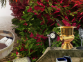 խաղ The Prize Winning Garden