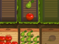 խաղ Fruit Gardener