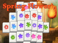 խաղ Spring Flower