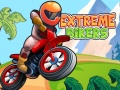 խաղ Extreme Bikers