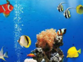 խաղ Sea Underwater Difference