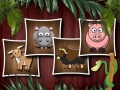 խաղ Animal Shapes 3