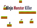 խաղ Ninja Monster Killer
