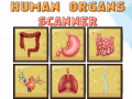 խաղ Human Organs Scanner