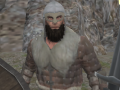 խաղ Vikings Aggression