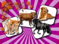 խաղ Domestic Animal Memory Challenge