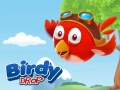 խաղ Birdy Drop