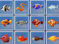 խաղ Find The Fish