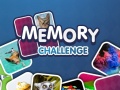 խաղ Memory Challenge