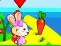 խաղ Brother and sister rabbits