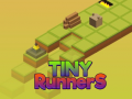 խաղ Tiny RunnerS