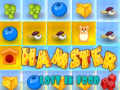 խաղ Hamster Lost In Food