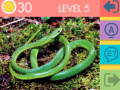խաղ 15 Picture Quiz