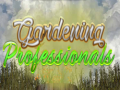 խաղ Gardening Professionals
