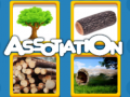 խաղ Assotiation 