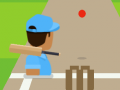խաղ Cricket FRVR