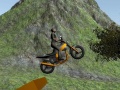 խաղ Dirt Bike Rider
