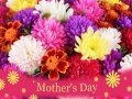 խաղ 2019 Mother's Day Puzzle