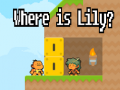 խաղ Where is Lily?