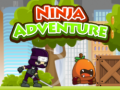 խաղ Ninja Adventure