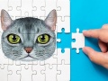 խաղ Abyssinian Puzzle Challenge