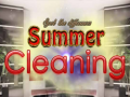 խաղ Spot The differences Summer Cleaning