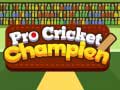 խաղ Pro Cricket Champion