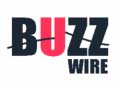 խաղ Buzz Wire