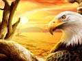 խաղ Eagle