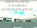 խաղ Airplane Flying Expierence