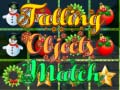 խաղ Falling Objects Match 