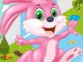 խաղ Bunny Run