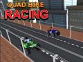 խաղ Quad Bike Racing